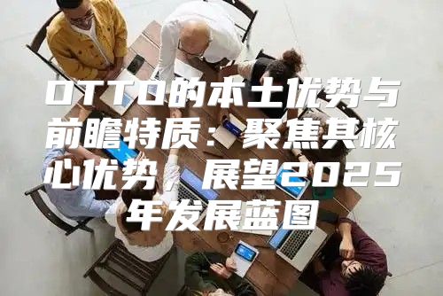 OTTO的本土优势与前瞻特质：聚焦其核心优势，展望2025年发展蓝图