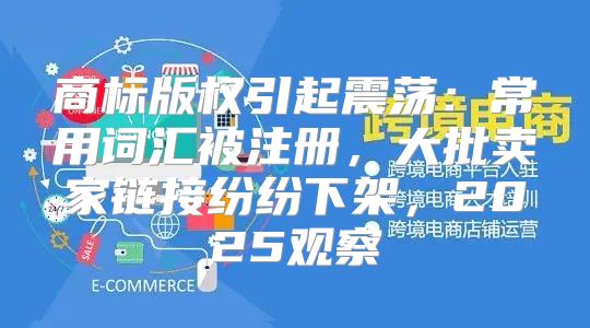 商标版权引起震荡：常用词汇被注册，大批卖家链接纷纷下架，2025观察