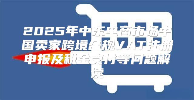 2025年中东电商市场中国卖家跨境合规VAT注册申报及税金支付等问题解读
