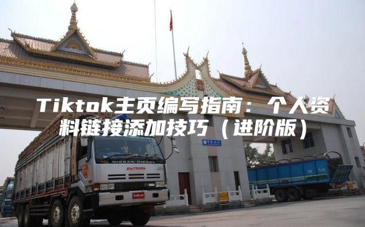 Tiktok主页编写指南：个人资料链接添加技巧进阶版
