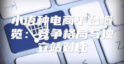 小语种电商平台概览：竞争格局与独立站对比