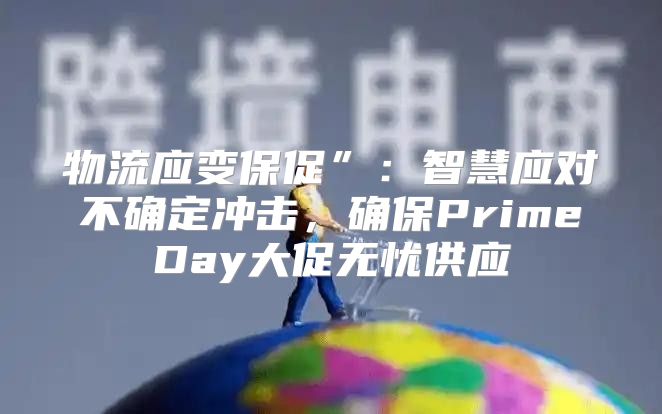物流应变保促”：智慧应对不确定冲击，确保PrimeDay大促无忧供应