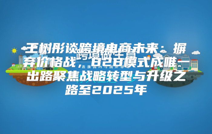 王树彤谈跨境电商未来：摒弃价格战，B2B模式成唯一出路聚焦战略转型与升级之路至2025年