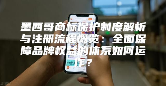 墨西哥商标保护制度解析与注册流程概览：全面保障品牌权益的体系如何运作？