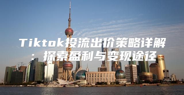 Tiktok投流出价策略详解：探索盈利与变现途径