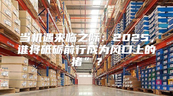 当机遇来临之际：2025，谁将砥砺前行成为风口上的猪”？