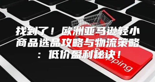 找到了！欧洲亚马逊轻小商品选品攻略与物流策略：低价盈利秘诀！