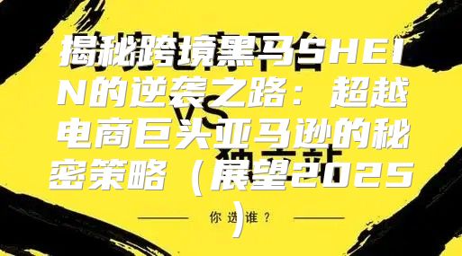 揭秘跨境黑马SHEIN的逆袭之路：超越电商巨头亚马逊的秘密策略展望2025