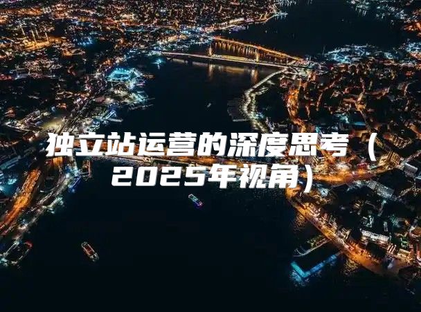 独立站运营的深度思考2025年视角