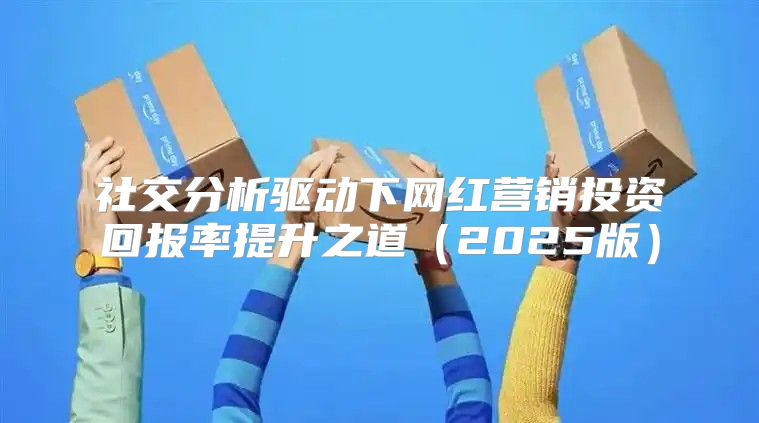 社交分析驱动下网红营销投资回报率提升之道2025版