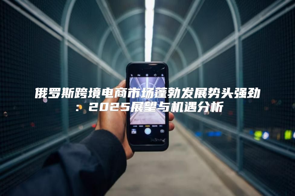 俄罗斯跨境电商市场蓬勃发展势头强劲：2025展望与机遇分析