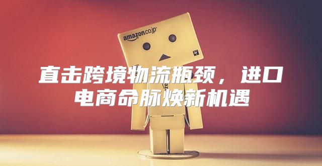 直击跨境物流瓶颈，进口电商命脉焕新机遇