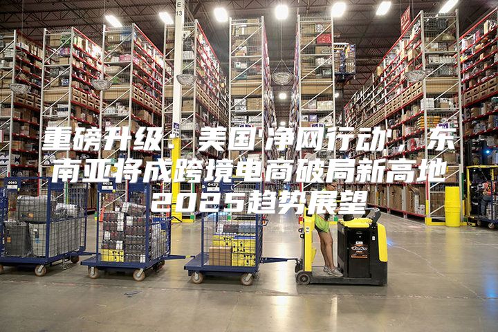重磅升级：美国'净网行动'，东南亚将成跨境电商破局新高地 2025趋势展望