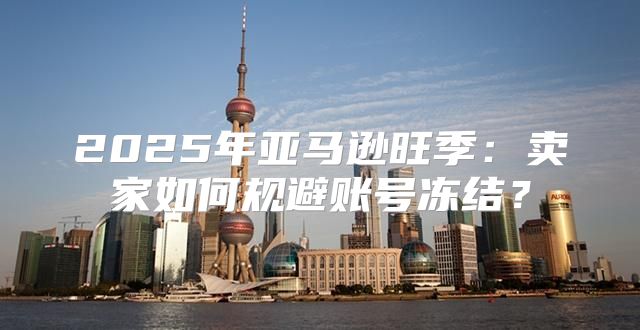 2025年亚马逊旺季：卖家如何规避账号冻结？