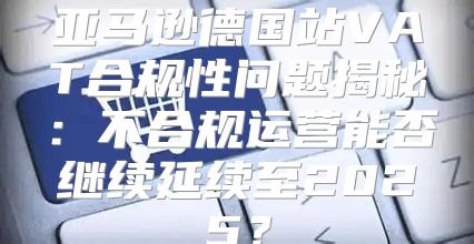 亚马逊德国站VAT合规性问题揭秘：不合规运营能否继续延续至2025？