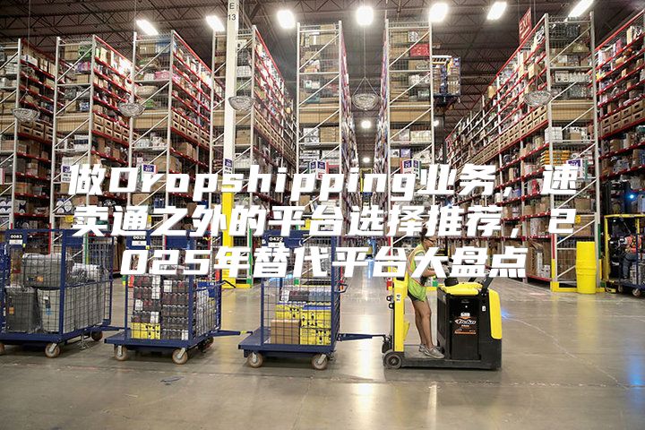 做Dropshipping业务，速卖通之外的平台选择推荐，2025年替代平台大盘点