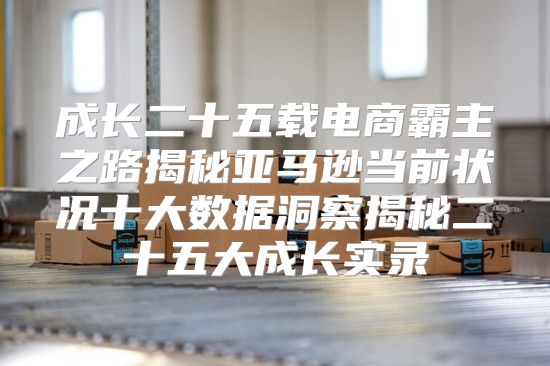 成长二十五载电商霸主之路揭秘亚马逊当前状况十大数据洞察揭秘二十五大成长实录