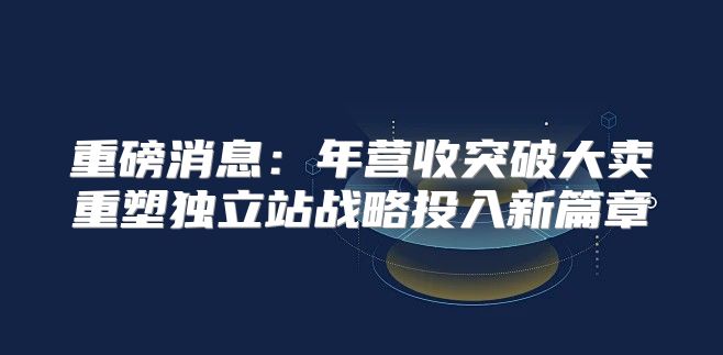 重磅消息：年营收突破大卖重塑独立站战略投入新篇章