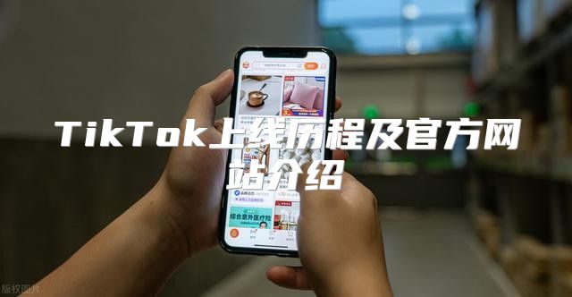 TikTok上线历程及官方网站介绍