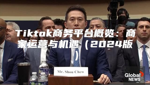 Tiktok商务平台概览：商家运营与机遇2025版