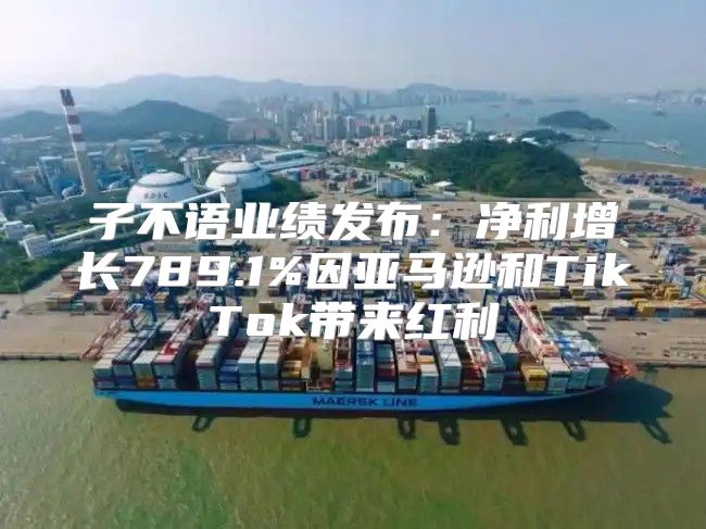 子不语业绩发布：净利增长789.1%因亚马逊和TikTok带来红利