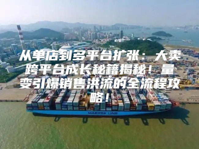 从单店到多平台扩张：大卖跨平台成长秘籍揭秘！量变引爆销售洪流的全流程攻略！
