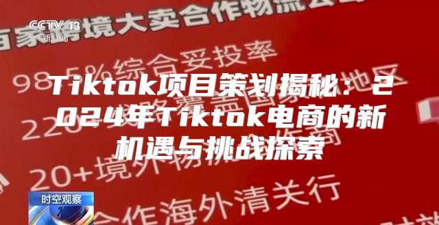 Tiktok项目策划揭秘：2025年Tiktok电商的新机遇与挑战探索