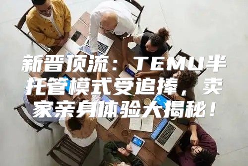 新晋顶流：TEMU半托管模式受追捧，卖家亲身体验大揭秘！