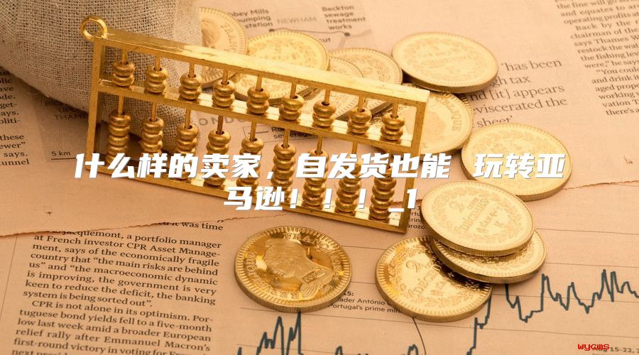 什么样的卖家，自发货也能 玩转亚马逊！！！_1