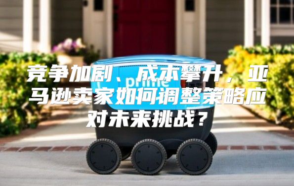 竞争加剧、成本攀升，亚马逊卖家如何调整策略应对未来挑战？