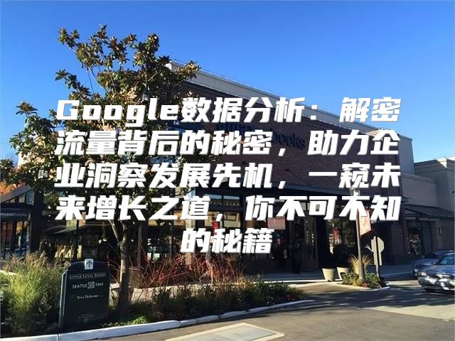 Google数据分析：解密流量背后的秘密，助力企业洞察发展先机，一窥未来增长之道，你不可不知的秘籍
