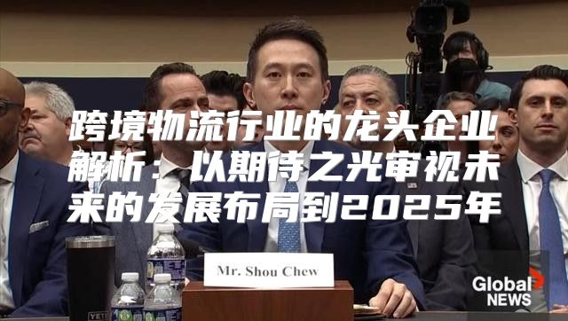 跨境物流行业的龙头企业解析：以期待之光审视未来的发展布局到2025年