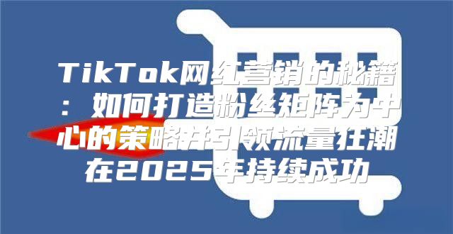 TikTok网红营销的秘籍：如何打造粉丝矩阵为中心的策略并引领流量狂潮在2025年持续成功