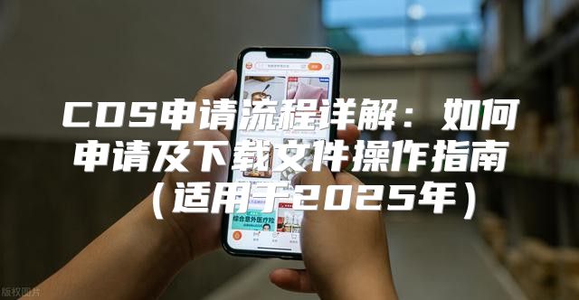 CDS申请流程详解：如何申请及下载文件操作指南适用于2025年