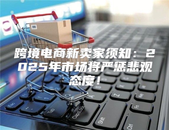 跨境电商新卖家须知：2025年市场将严惩悲观态度！