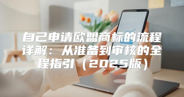 自己申请欧盟商标的流程详解：从准备到审核的全程指引2025版