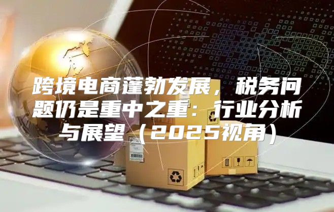 跨境电商蓬勃发展，税务问题仍是重中之重：行业分析与展望2025视角