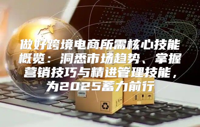 做好跨境电商所需核心技能概览：洞悉市场趋势、掌握营销技巧与精进管理技能，为2025蓄力前行