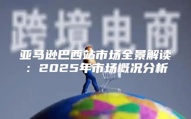 亚马逊巴西站市场全景解读：2025年市场概况分析