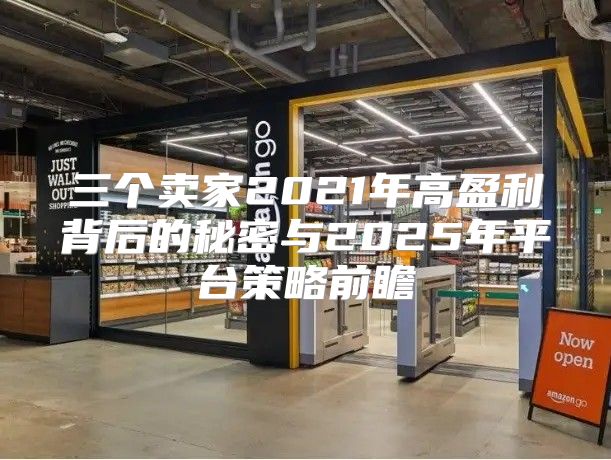 三个卖家2021年高盈利背后的秘密与2025年平台策略前瞻