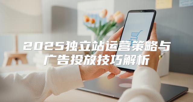 2025独立站运营策略与广告投放技巧解析
