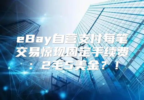 eBay自营支付每笔交易惊现固定手续费：2毛5美金？！