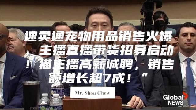 速卖通宠物用品销售火爆，主播直播带货招募启动！猫主播高薪诚聘，销售额增长超7成！”