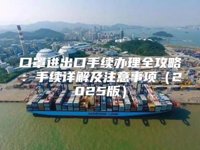 口罩进出口手续办理全攻略：手续详解及注意事项2025版
