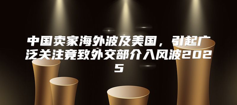 中国卖家海外波及美国，引起广泛关注竟致外交部介入风波2025
