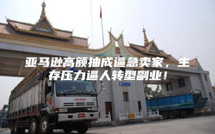 亚马逊高额抽成逼急卖家，生存压力逼人转型副业！