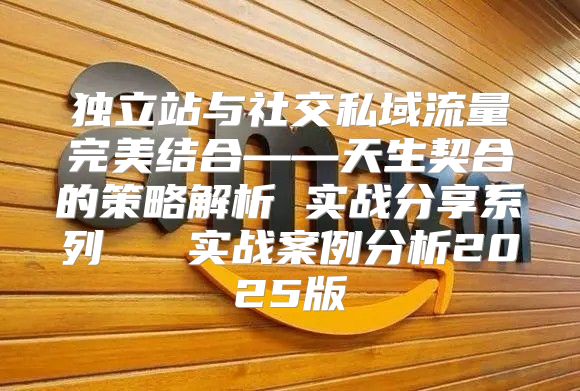 独立站与社交私域流量完美结合——天生契合的策略解析 实战分享系列 ④ 实战案例分析2025版