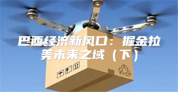 巴西经济新风口：掘金拉美未来之域下