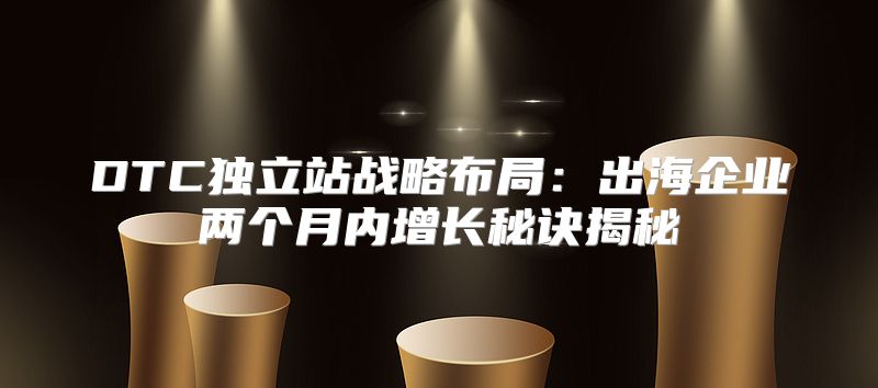 DTC独立站战略布局：出海企业两个月内增长秘诀揭秘
