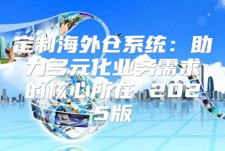 定制海外仓系统：助力多元化业务需求的核心所在 2025版